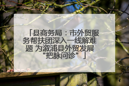 县商务局：市外贸服务帮扶团深入一线解难题 为溆浦县外贸发展“把脉问诊”