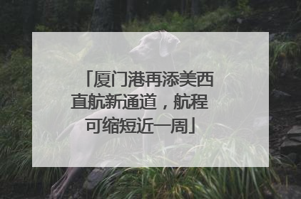 厦门港再添美西直航新通道，航程可缩短近一周