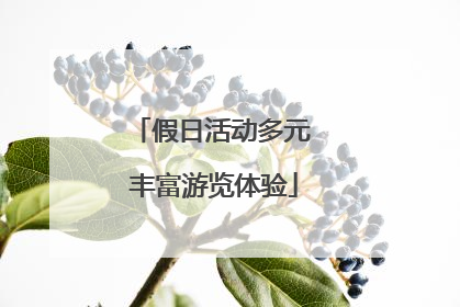 假日活动多元 丰富游览体验
