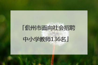 儋州市面向社会招聘中小学教师136名
