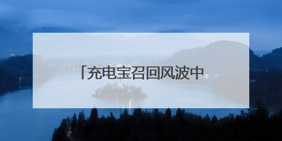充电宝召回风波中的罗马仕：“访客”激增 A股多家电芯厂商称“未供货”