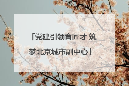党建引领育匠才 筑梦北京城市副中心