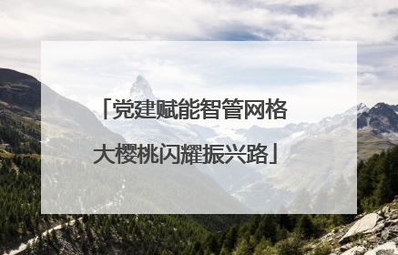 党建赋能智管网格 大樱桃闪耀振兴路