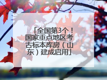 全国第3个！国家重点地区考古标本库房（山东）建成启用