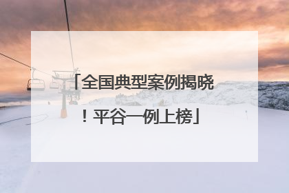 全国典型案例揭晓！平谷一例上榜
