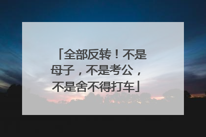 全部反转！不是母子，不是考公，不是舍不得打车