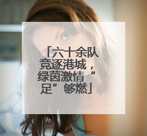 六十余队竞逐港城，绿茵激情“足”够燃