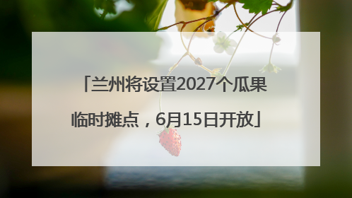 兰州将设置2027个瓜果临时摊点，6月15日开放