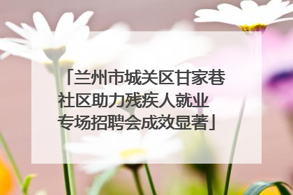 兰州市城关区甘家巷社区助力残疾人就业 专场招聘会成效显著