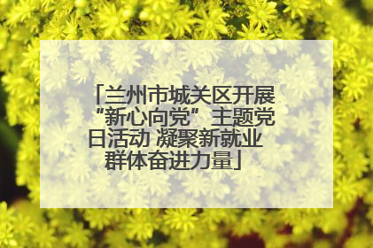兰州市城关区开展“新心向党”主题党日活动 凝聚新就业群体奋进力量
