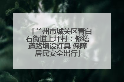 兰州市城关区青白石街道上坪村：修缮道路增设灯具 保障居民安全出行