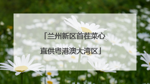 兰州新区首茬菜心直供粤港澳大湾区