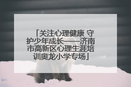 关注心理健康 守护少年成长——济南市高新区心理生涯培训奥龙小学专场