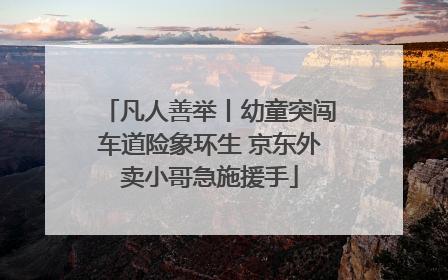 凡人善举丨幼童突闯车道险象环生 京东外卖小哥急施援手