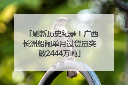 刷新历史纪录！广西长洲船闸单月过货量突破2444万吨