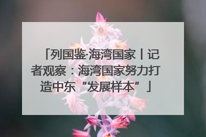 列国鉴·海湾国家丨记者观察：海湾国家努力打造中东“发展样本”