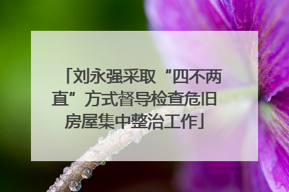 刘永强采取“四不两直”方式督导检查危旧房屋集中整治工作