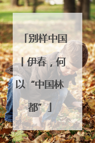 别样中国丨伊春，何以“中国林都”