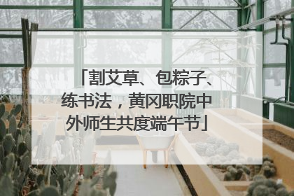 割艾草、包粽子、练书法，黄冈职院中外师生共度端午节