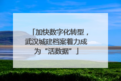 加快数字化转型，武汉城建档案着力成为“活数据”
