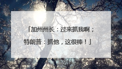 加州州长：过来抓我啊；特朗普：抓他，这很棒！