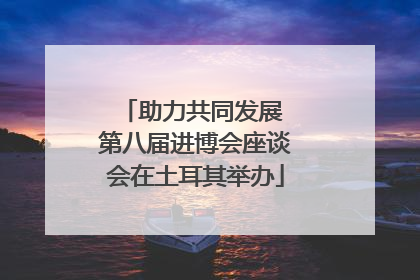 助力共同发展 第八届进博会座谈会在土耳其举办
