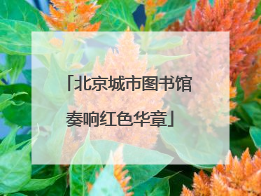 北京城市图书馆奏响红色华章
