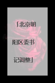 北京朝阳区委书记调整