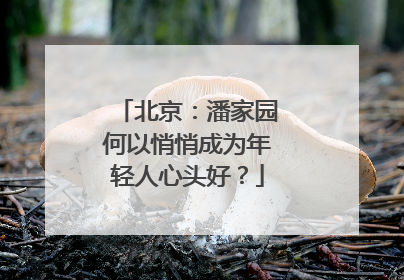北京：潘家园何以悄悄成为年轻人心头好？