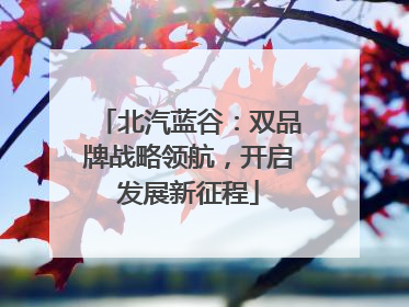 北汽蓝谷：双品牌战略领航，开启发展新征程