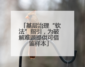 基层治理“软法”指引，为破解难题提供可借鉴样本