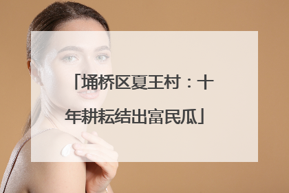 埇桥区夏王村：十年耕耘结出富民瓜