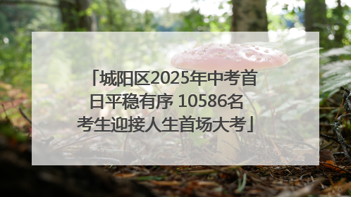 城阳区2025年中考首日平稳有序 10586名考生迎接人生首场大考