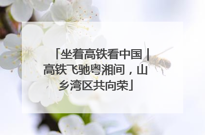 坐着高铁看中国｜高铁飞驰粤湘间，山乡湾区共向荣