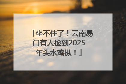 坐不住了！云南易门有人捡到2025年头水鸡枞！