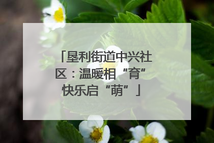 垦利街道中兴社区：温暖相“育” 快乐启“萌”