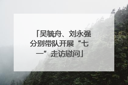吴毓舟、刘永强分别带队开展“七一”走访慰问