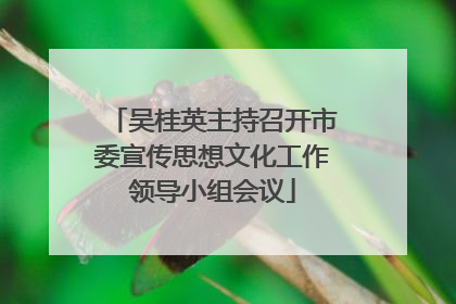 吴桂英主持召开市委宣传思想文化工作领导小组会议