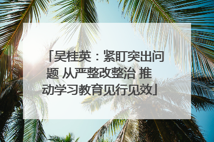 吴桂英：紧盯突出问题 从严整改整治 推动学习教育见行见效