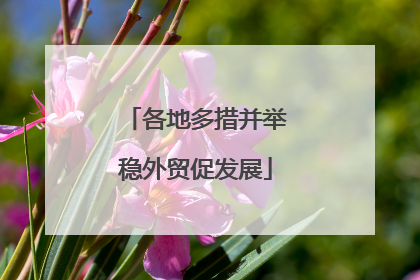 各地多措并举稳外贸促发展