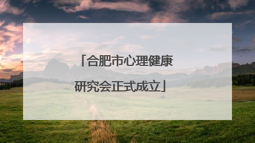 合肥市心理健康研究会正式成立