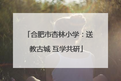 合肥市杏林小学：送教古城 互学共研