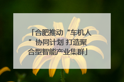 合肥推动“车机人”协同计划 打造聚合型智能产业集群