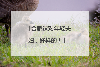 合肥这对年轻夫妇，好样的！