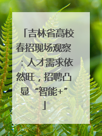 吉林省高校春招现场观察：人才需求依然旺，招聘凸显“智能+”