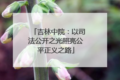 吉林中院：以司法公开之光照亮公平正义之路