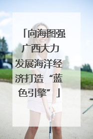 向海图强 广西大力发展海洋经济打造“蓝色引擎”