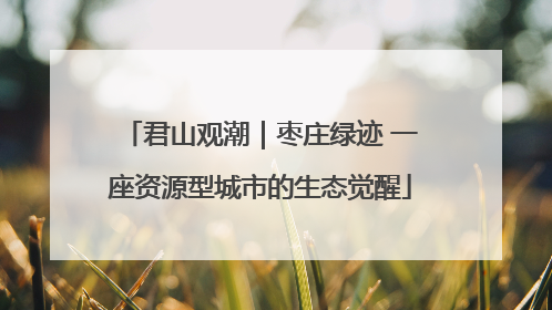 君山观潮｜枣庄绿迹 一座资源型城市的生态觉醒