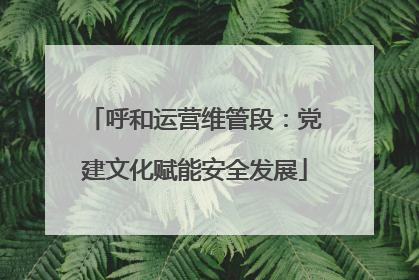 呼和运营维管段：党建文化赋能安全发展