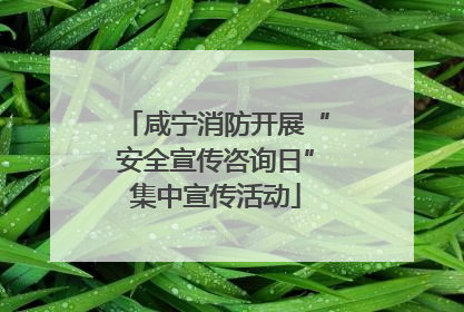 咸宁消防开展“安全宣传咨询日”集中宣传活动